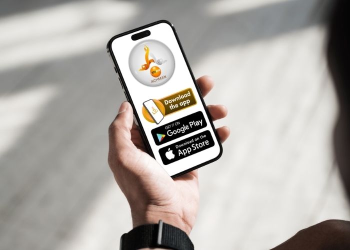 Mobile App Interface